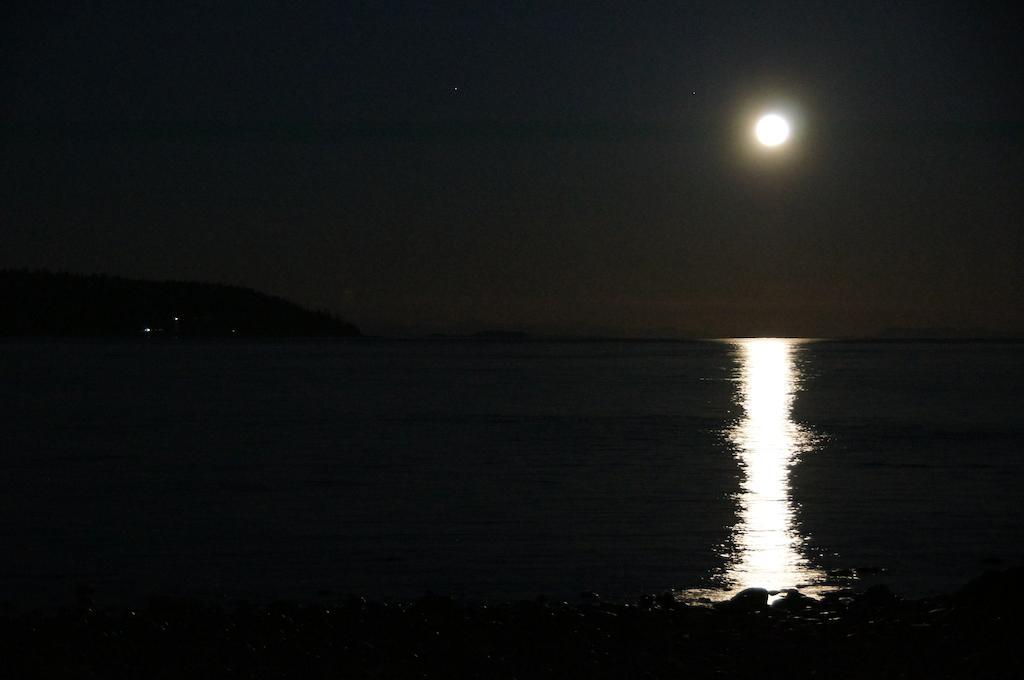Driftwood By The Sea Inn Campbell River Εξωτερικό φωτογραφία