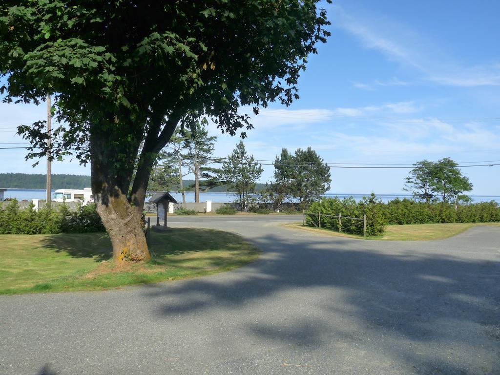 Driftwood By The Sea Inn Campbell River Εξωτερικό φωτογραφία