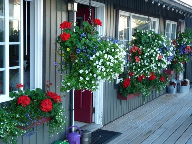 Driftwood By The Sea Inn Campbell River Εξωτερικό φωτογραφία